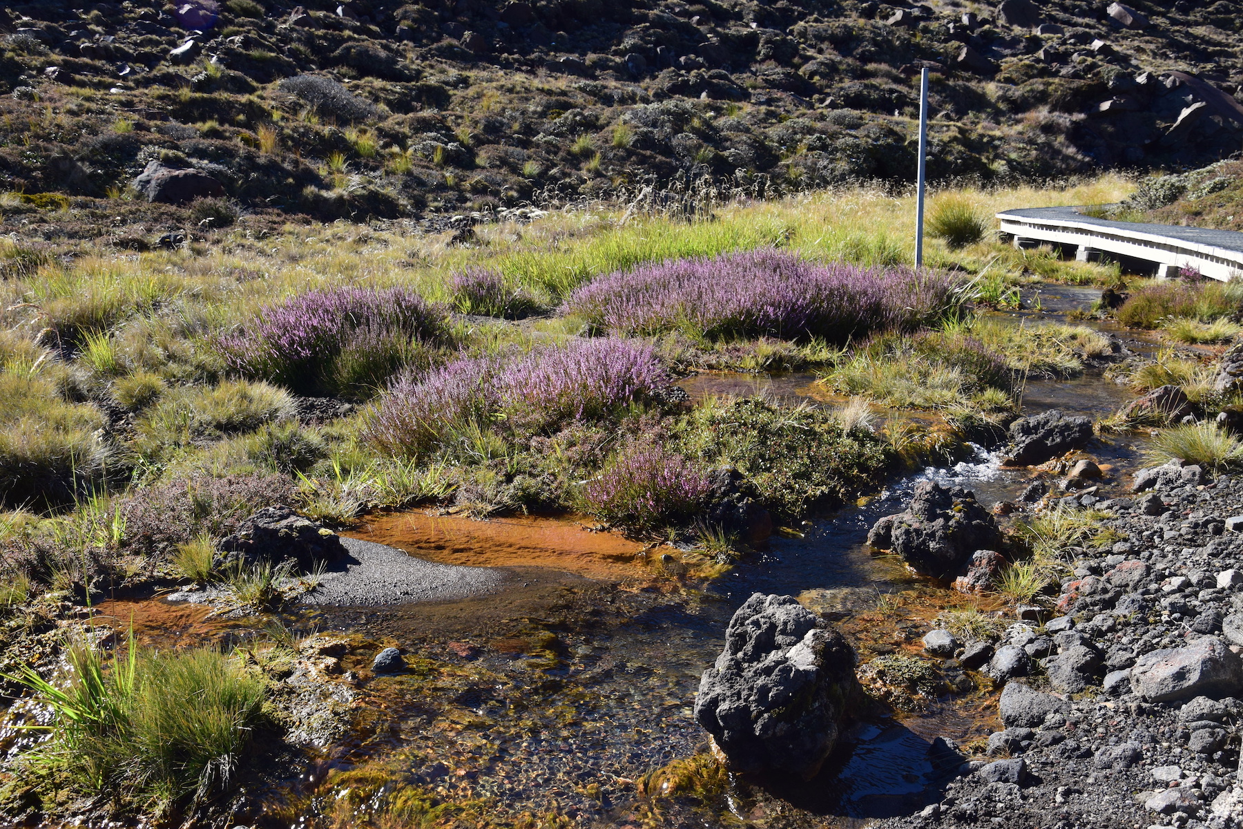 Tongariro Crossing